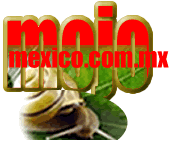 Visitar la web de «Mojomexico»